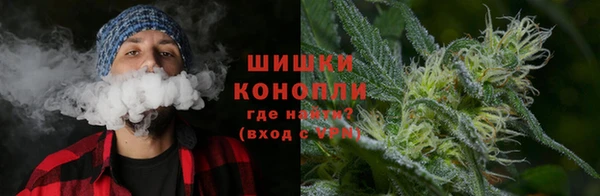 тгк Новодвинск