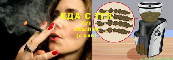 тгк Новодвинск