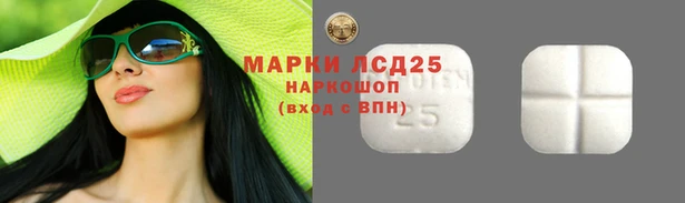 тгк Новодвинск