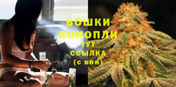 бошки Новозыбков