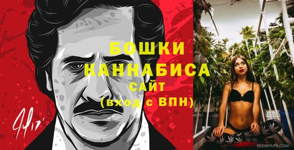 бошки Новозыбков