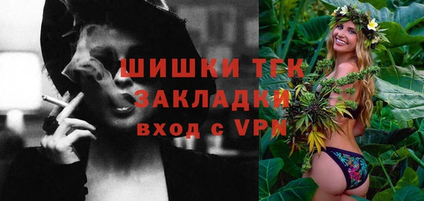 тгк Новодвинск