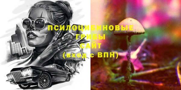 тгк Новодвинск