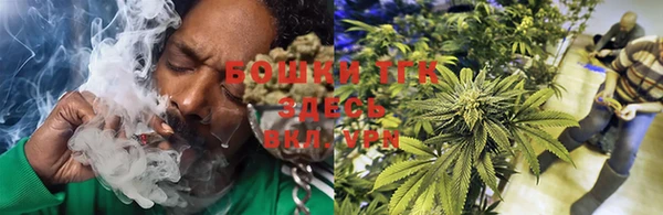 тгк Новодвинск
