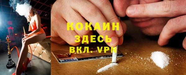 тгк Новодвинск