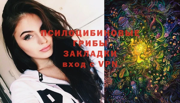 бошки Новозыбков
