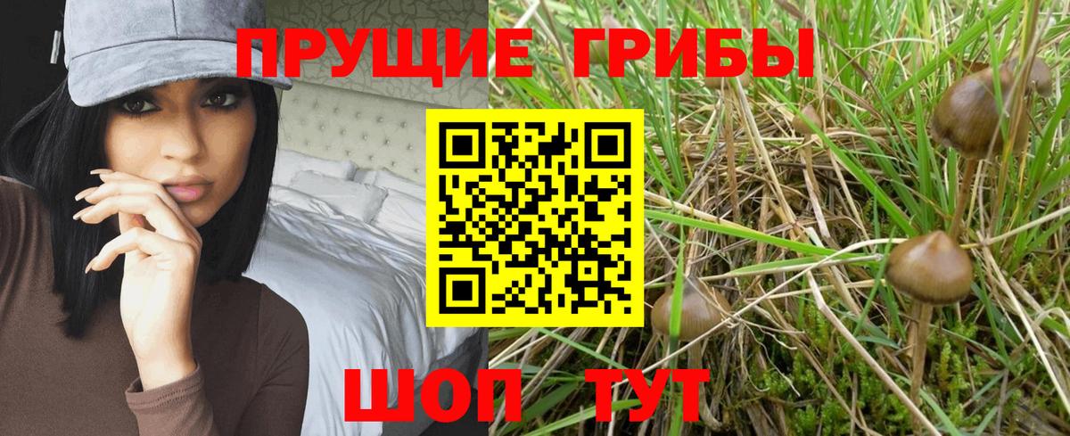 хочу   Вход с VPN  Сатка  Галлюциногенные грибы мицелий 