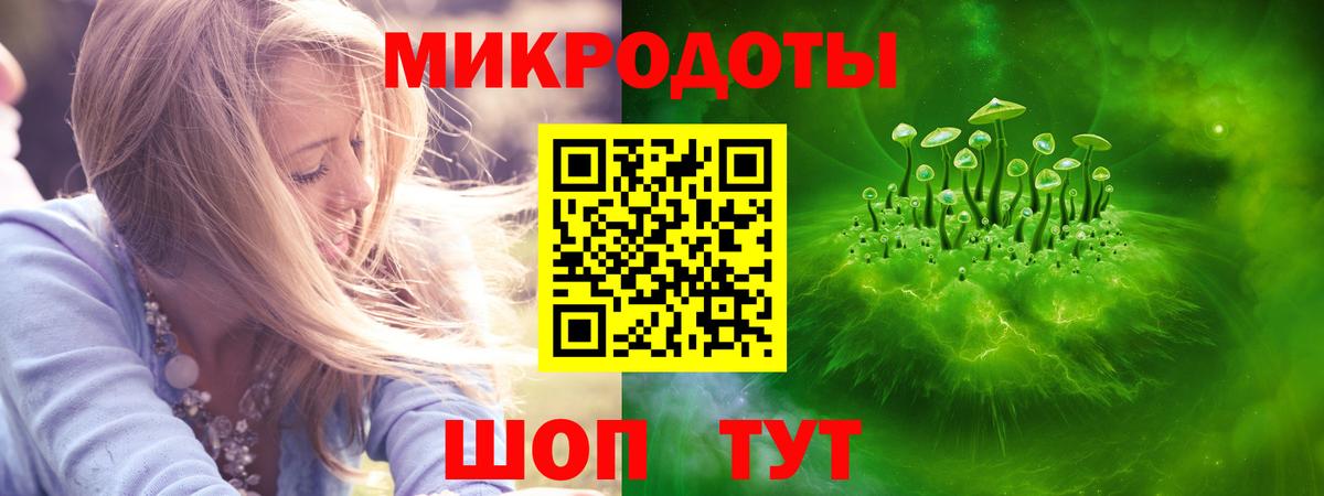 Псилоцибиновые грибы мицелий Сатка
