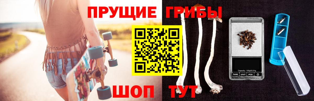 Псилоцибиновые грибы Psilocybine cubensis Сатка